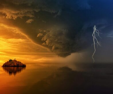 pexels-jplenio-1118873